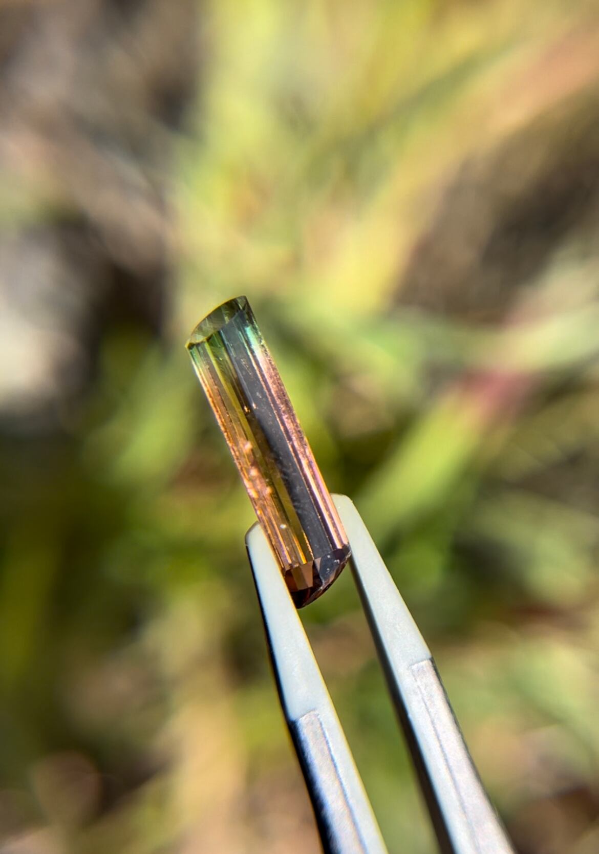 バイカラートルマリン 3.05ct へん型の商品画像_7