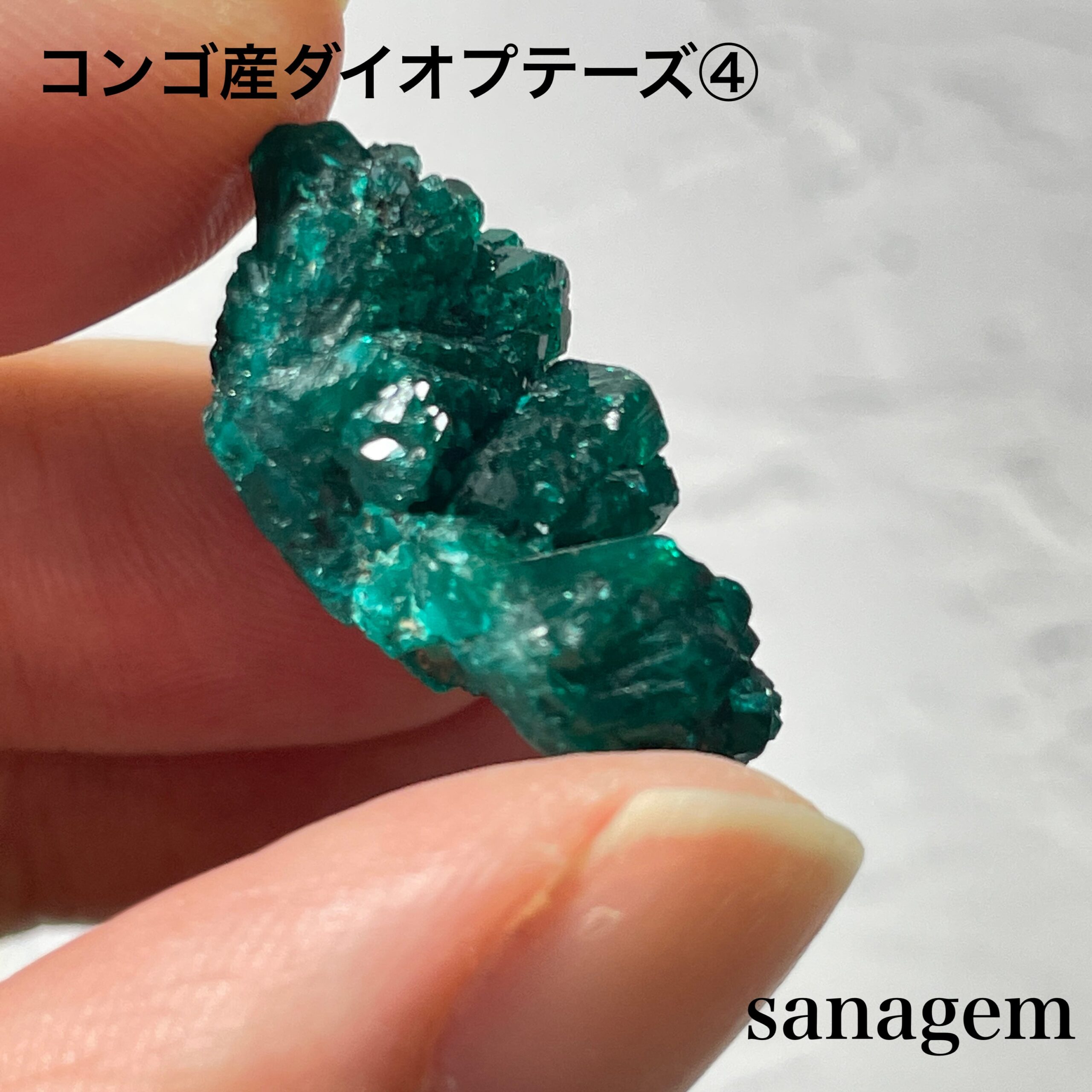 コンゴ産ダイオプテーズ④の商品画像_9