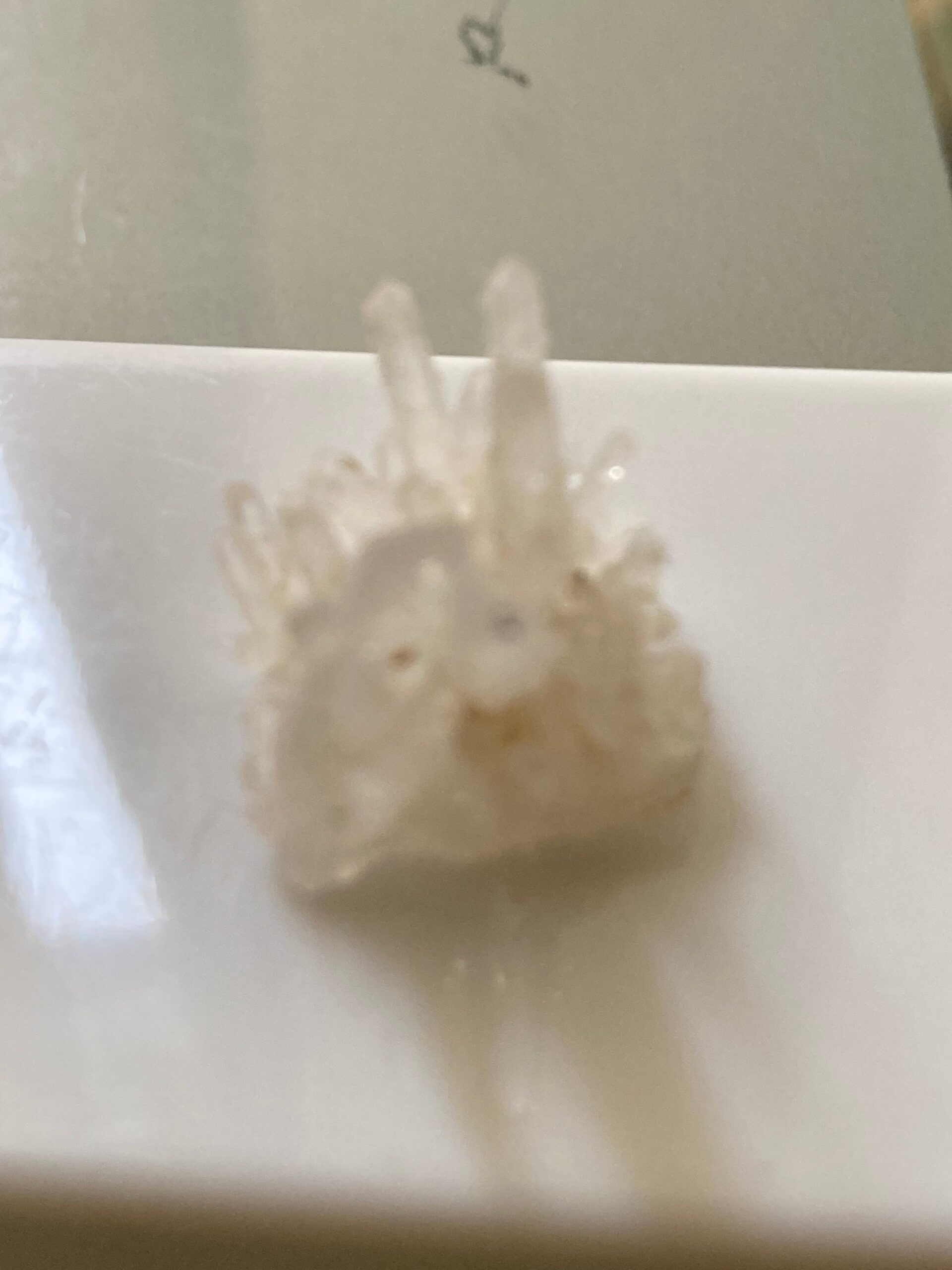 国産ミニクラスター福島県鬼ケ城産水晶①の商品画像_6