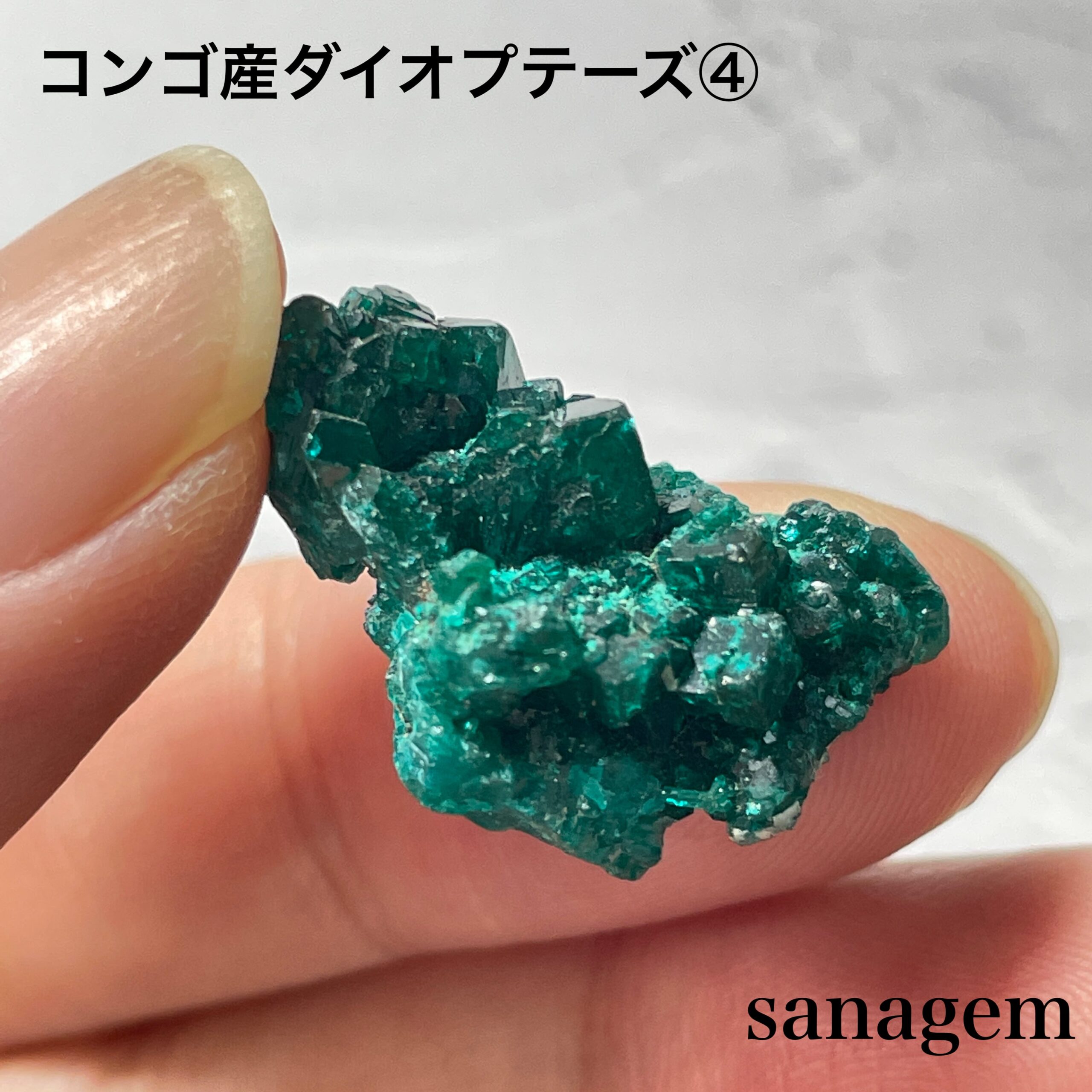 コンゴ産ダイオプテーズ④の商品画像_7