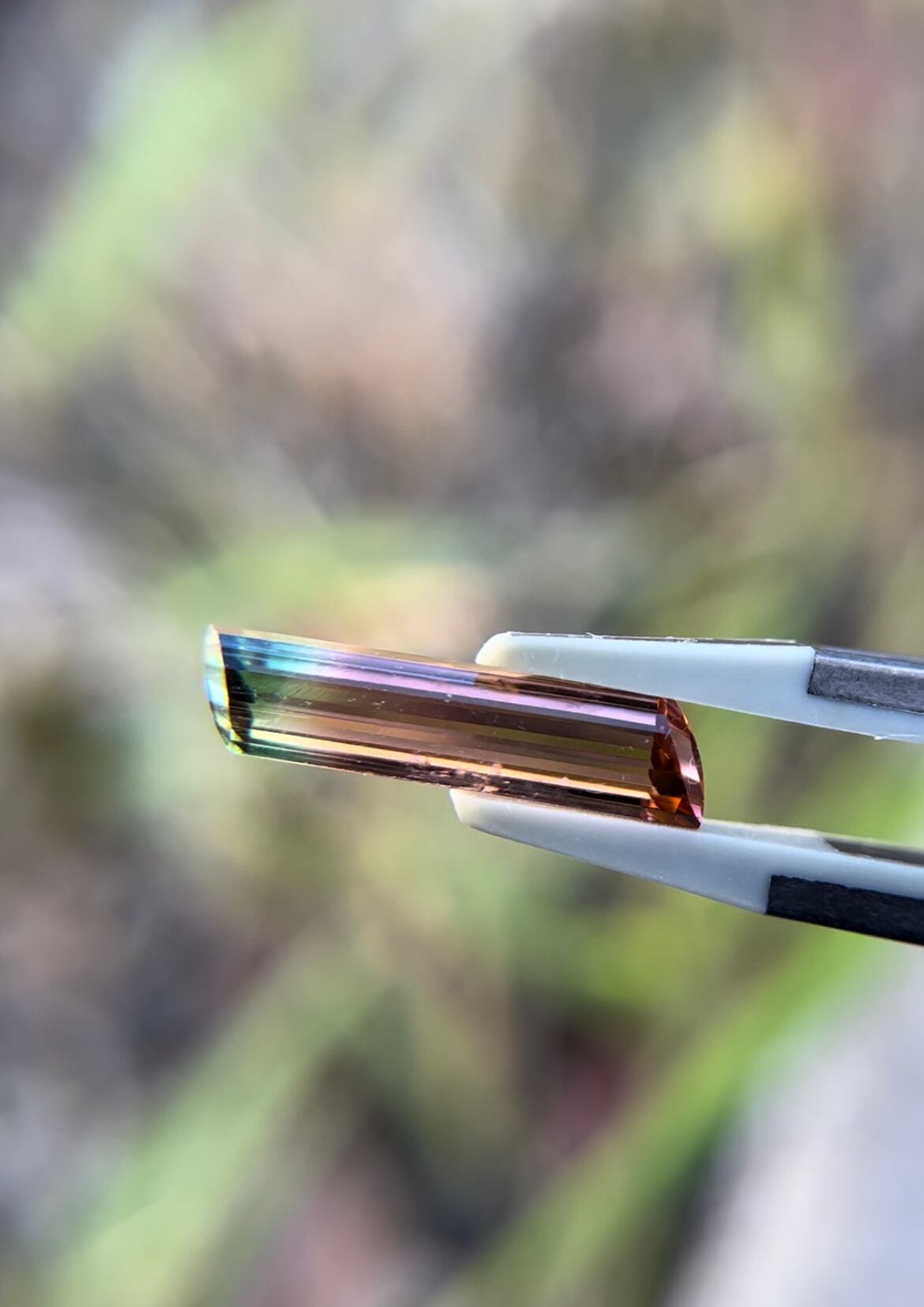 バイカラートルマリン 3.05ct へん型の商品画像_4