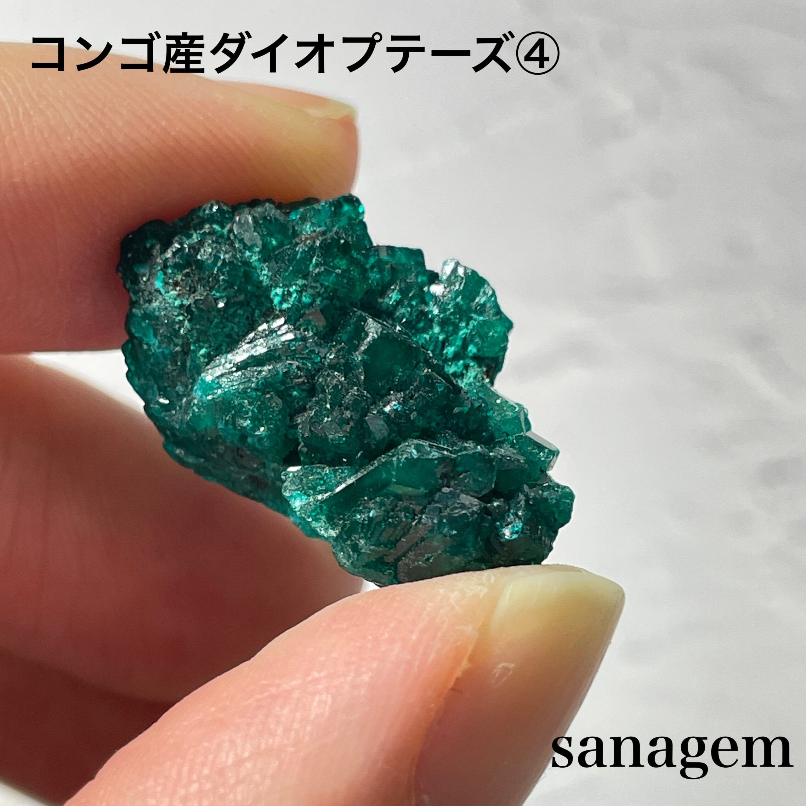 コンゴ産ダイオプテーズ④の商品画像_3