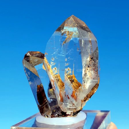 Ultra Clear Light Smoky Twins＜ウルトラクリア、ライトスモーキーツイン＞の商品画像_5
