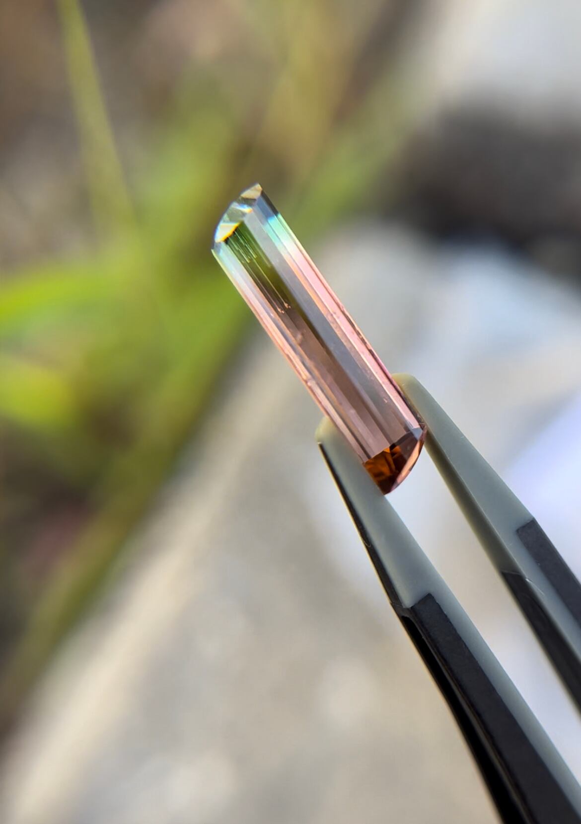バイカラートルマリン 3.05ct へん型の商品画像_6