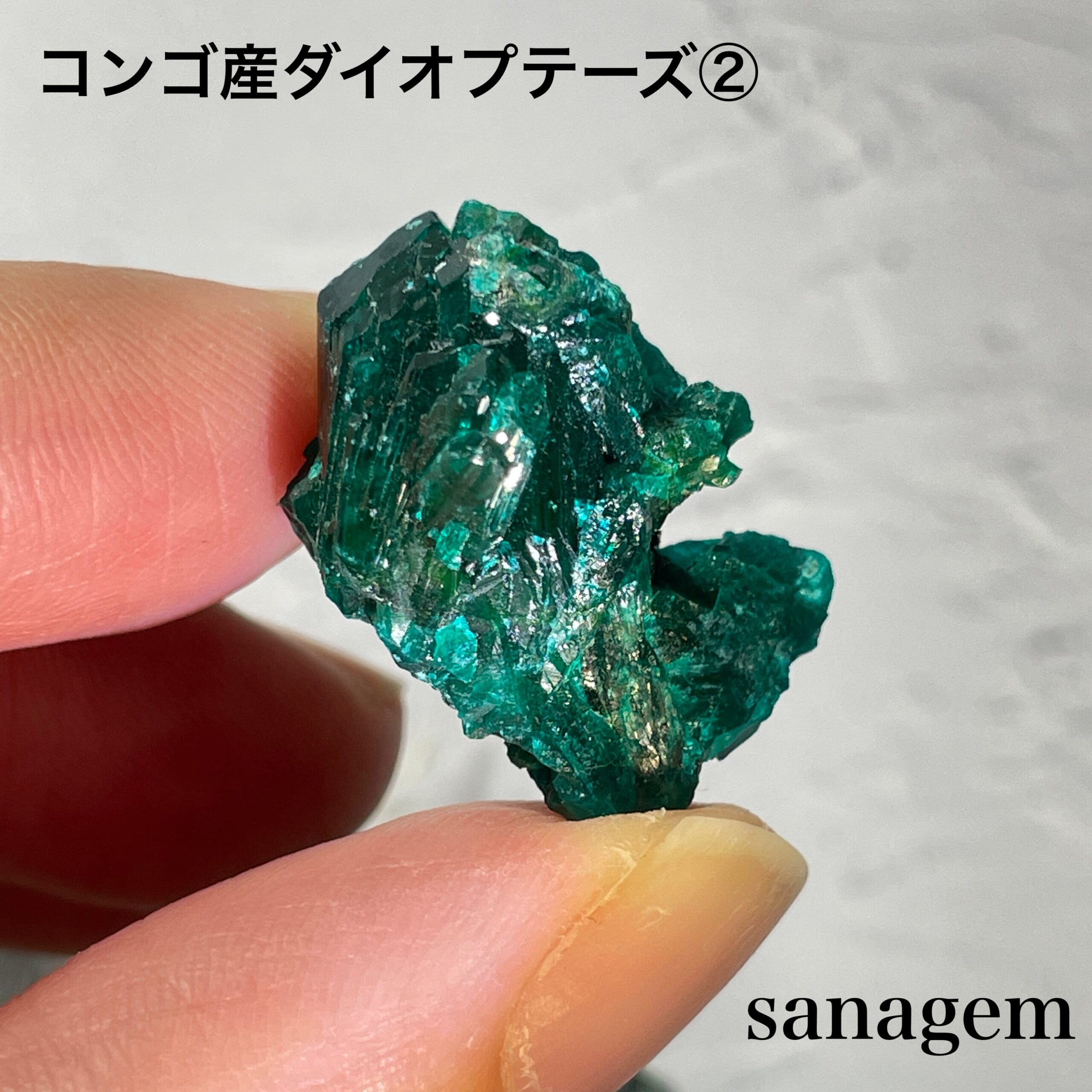 コンゴ産ダイオプテーズ②の商品画像_4