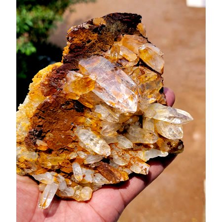 ゴールデンヒーラークラスターGolden Healer Clusterの商品画像_2