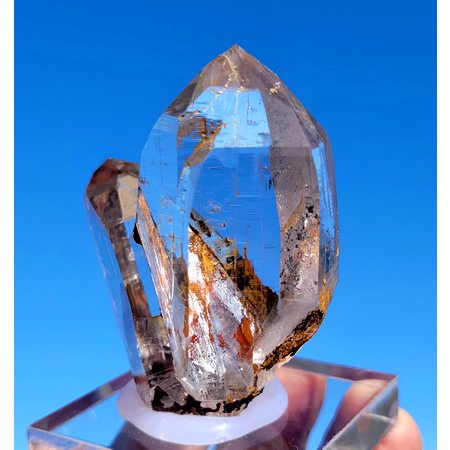 Ultra Clear Light Smoky Twins＜ウルトラクリア、ライトスモーキーツイン＞の商品画像_7