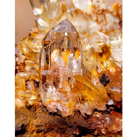 ゴールデンヒーラークラスターGolden Healer Clusterの商品画像_7