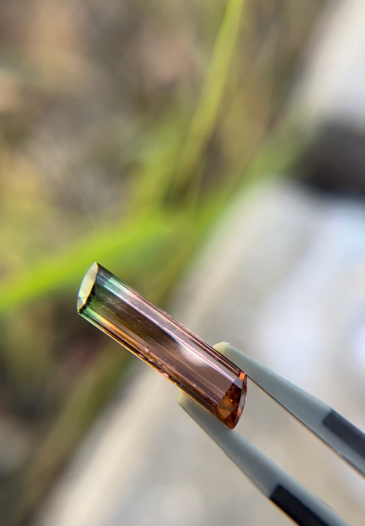 バイカラートルマリン 3.05ct へん型の商品画像_8