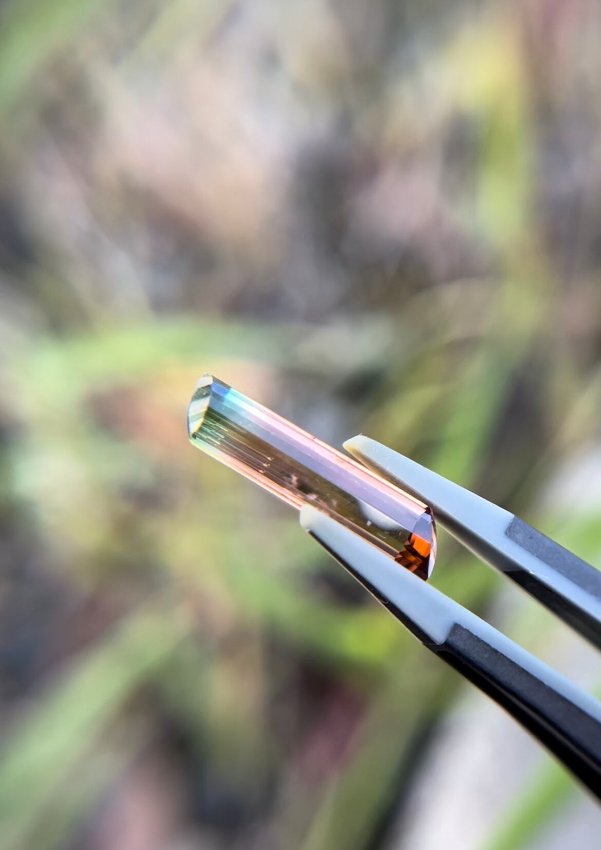 バイカラートルマリン 3.05ct へん型の商品画像_3